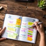 Calendarul lucrarilor de gradinarit pe luni