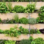 Gradina verticala: idei pentru spatii mici